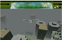 Fly Like a Bird Cover