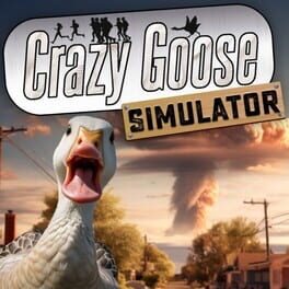 Crazy Goose Simulator Cover