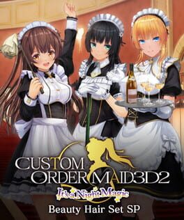 Custom Order Maid 3D2: It's a Night Magic Beauty Hair Set SP All in One Pack Cover