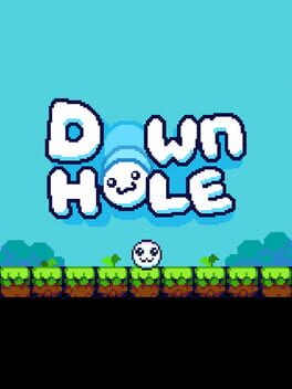 Down Hole Cover