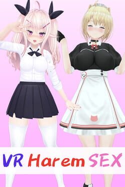 VR Harem Sex Cover