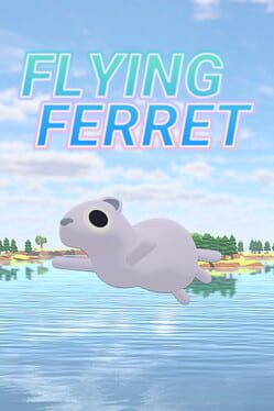 Flying Ferret Cover