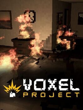 Voxel Project Cover