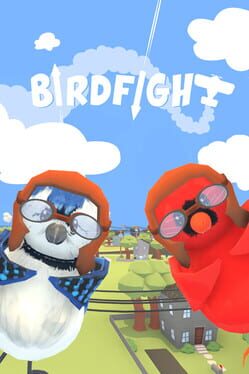 Birdfight Cover