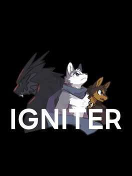 Igniter Cover
