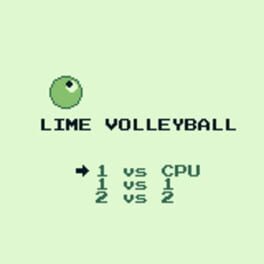 Lime Volleyball Cover