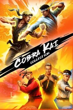 Cobra Kai Collection Cover