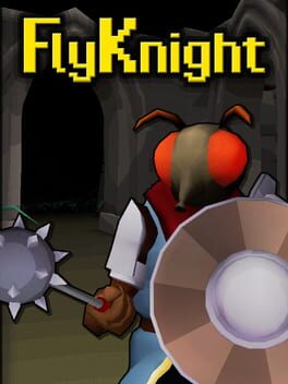 FlyKnight Cover
