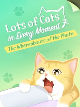 Lots of Cats in Every Moment: The Whereabouts of the Photo Cover