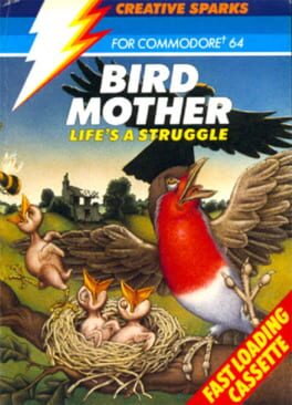 Bird Mother Cover