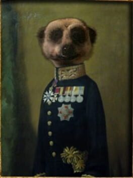 Compare the Meerkat Cover