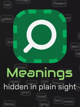 Meanings: Hidden in Plain Sight Cover
