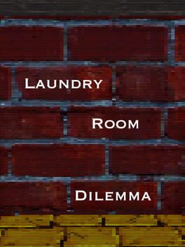 Laundry Room Dilemma Cover