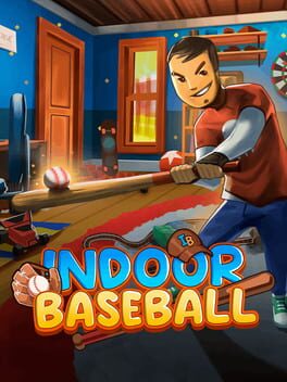 Indoor Baseball Cover
