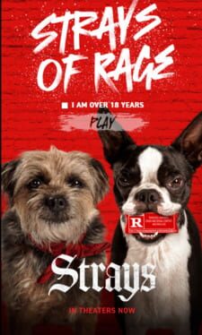 Strays of Rage Cover