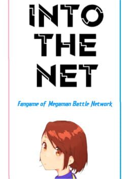 Into The Net Cover