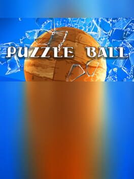 Puzzle Ball Cover