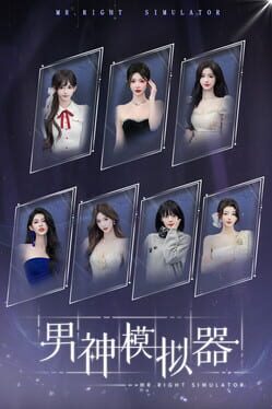 Mr Right Simulator Cover