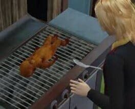 The Sims 2: OMGWTFBBQ Cover