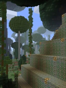 Untold Stories 2: Bigleaf Forest Cover