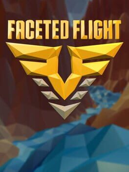 Faceted Flight Cover