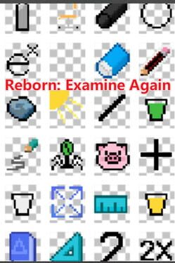 Reborn: Examine Again Cover