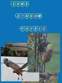 Jon's Jigsaw Puzzle Cover