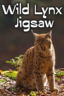 Wild Lynx Jigsaw Cover