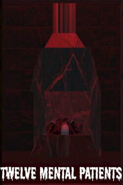 Twelve Mental Patients Cover