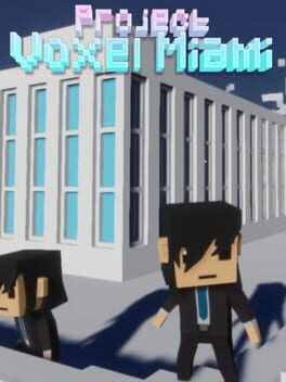Project Voxel Miami Cover