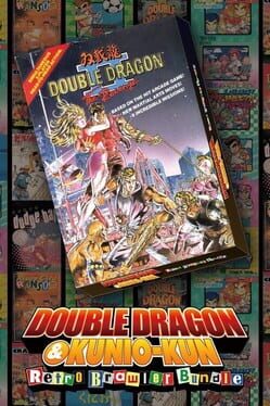 Double Dragon II: The Revenge Cover