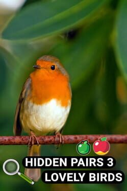 Hidden Pairs 3: Lovely Birds Cover
