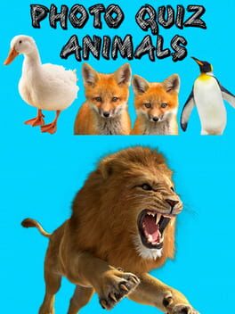 Photo Quiz: Animals Cover