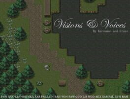 Visions & Voices Cover