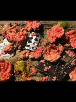 Get Your Gun, Dragonfly Cover