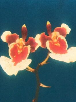 Gravity House Duology Cover