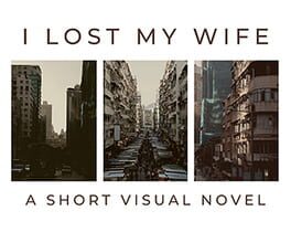 I Lost My Wife Cover