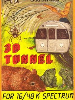 3D Tunnel Cover