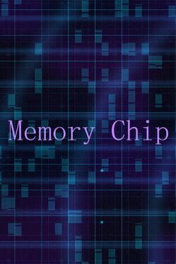 Memory Chip Cover