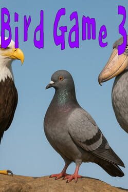Bird Game 3 Cover