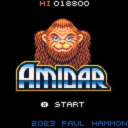 Amidar Cover
