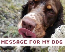 Message for My Dog Cover