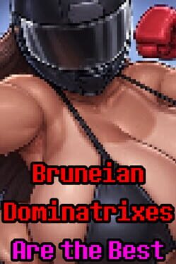 Bruneian Dominatrixes Are the Best Cover
