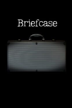 Briefcase Cover