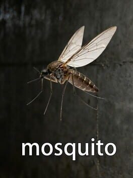 Mosquito Cover