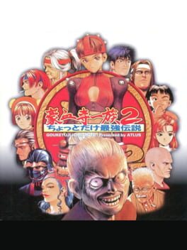 Power Instinct 2: A Slightly Stronger Legend Cover