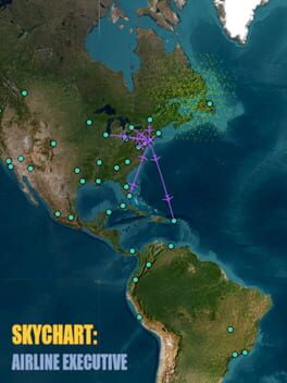 SkyChart: Airline Executive Cover