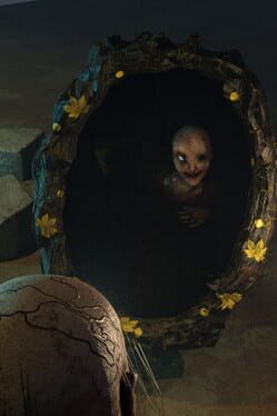 The Reflection Cover