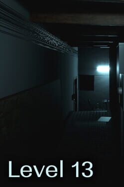 Level 13 Cover