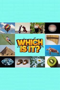 Which Is It? Cover